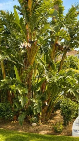 2 bedroom Apartment for sale in El Paraiso, Estepona - € 470,000 (Ref: 9851467)