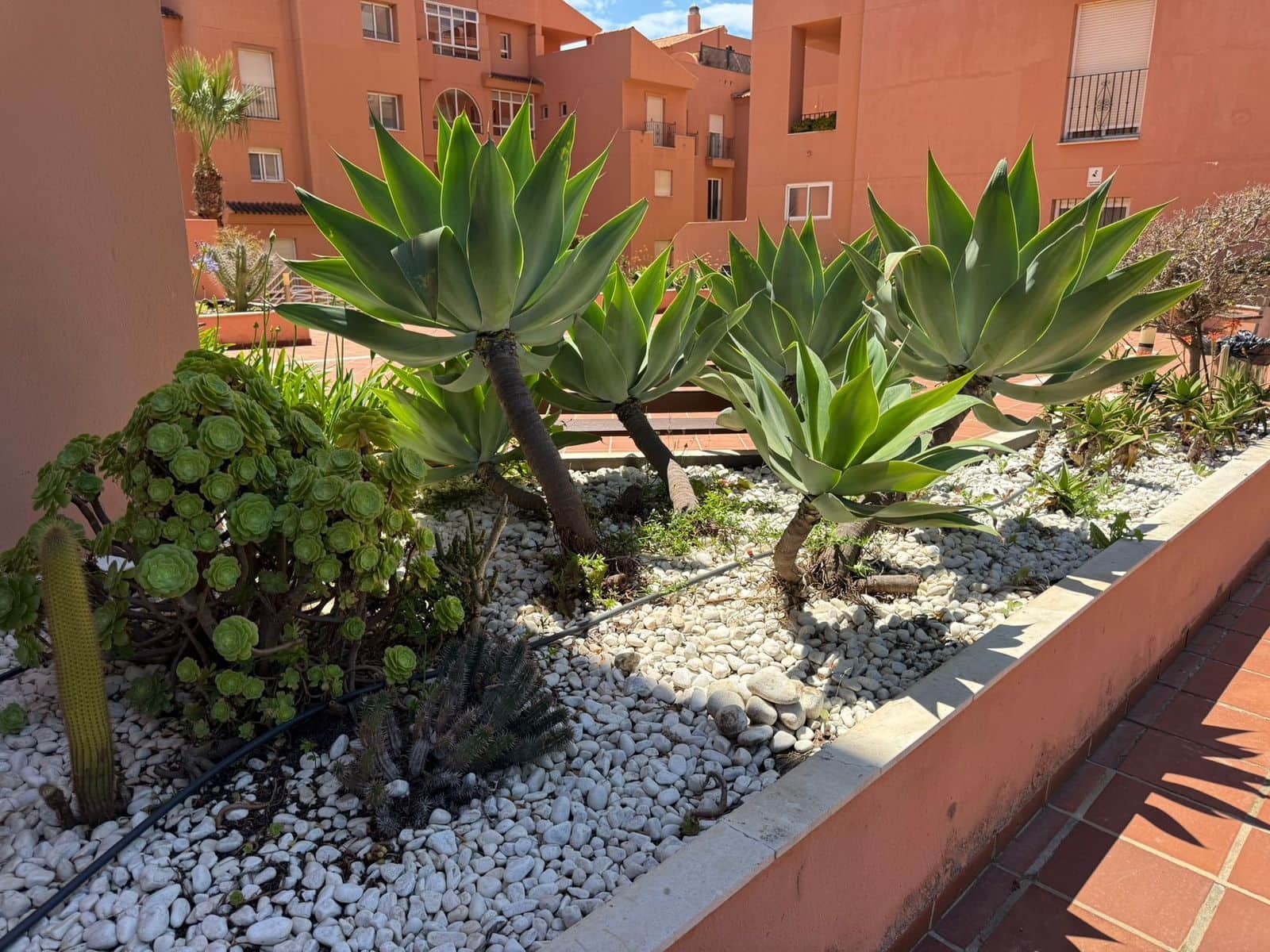 2 chambre Appartement à vendre à Manilva - 299 000 € (Ref: 9851472)
