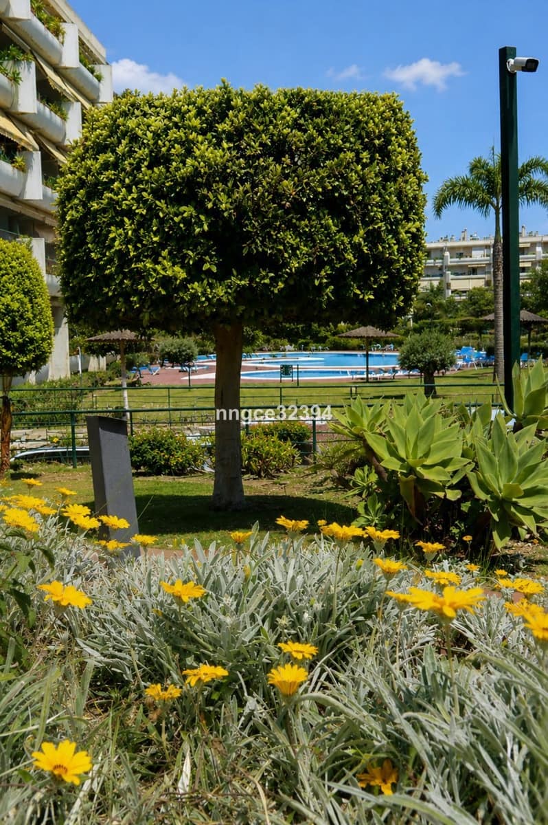 2 slaapkamer Penthouse te koop in San Pedro de Alcantara - € 499.900 (Ref: 9864899)