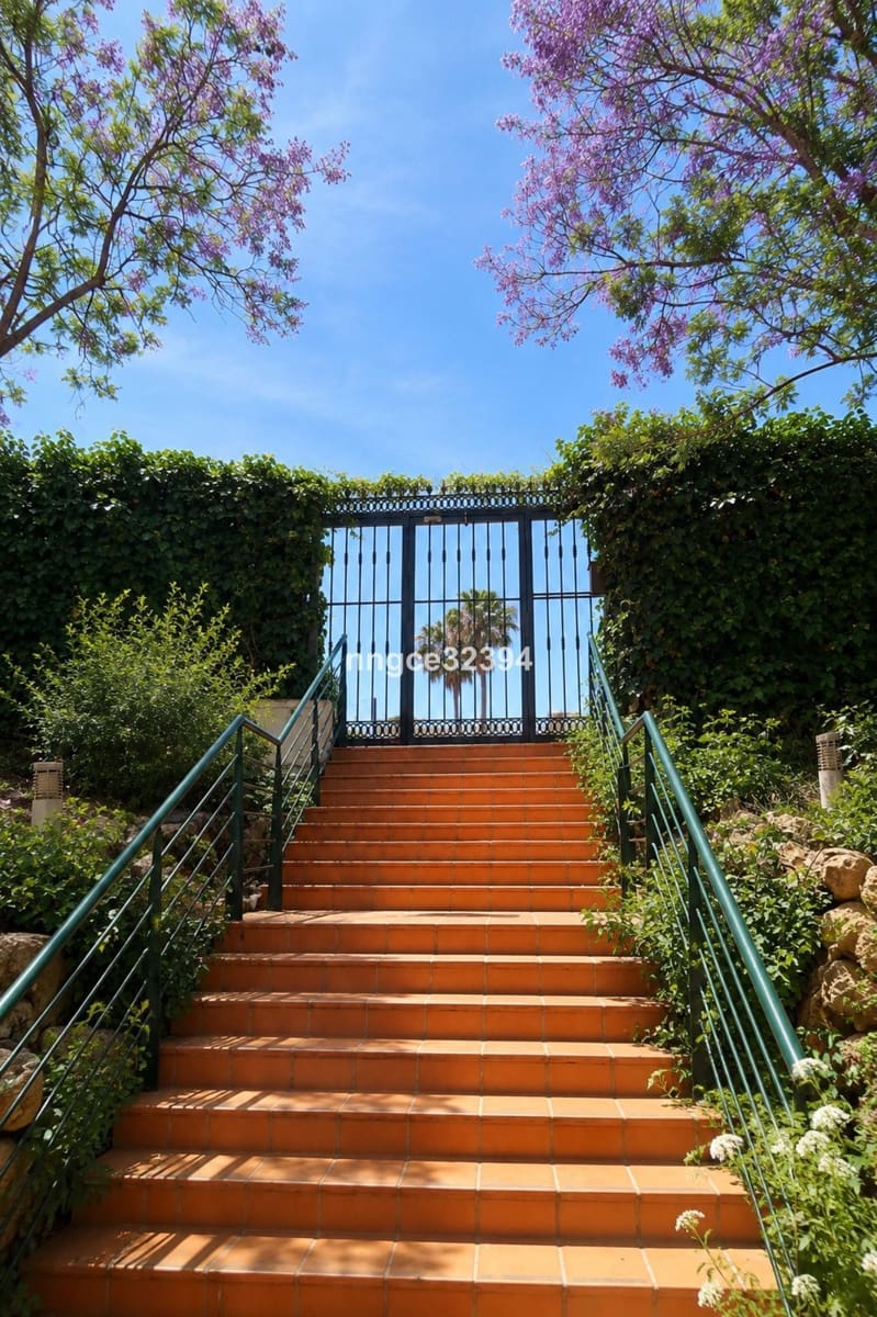 2 slaapkamer Penthouse te koop in San Pedro de Alcantara - € 499.900 (Ref: 9864899)