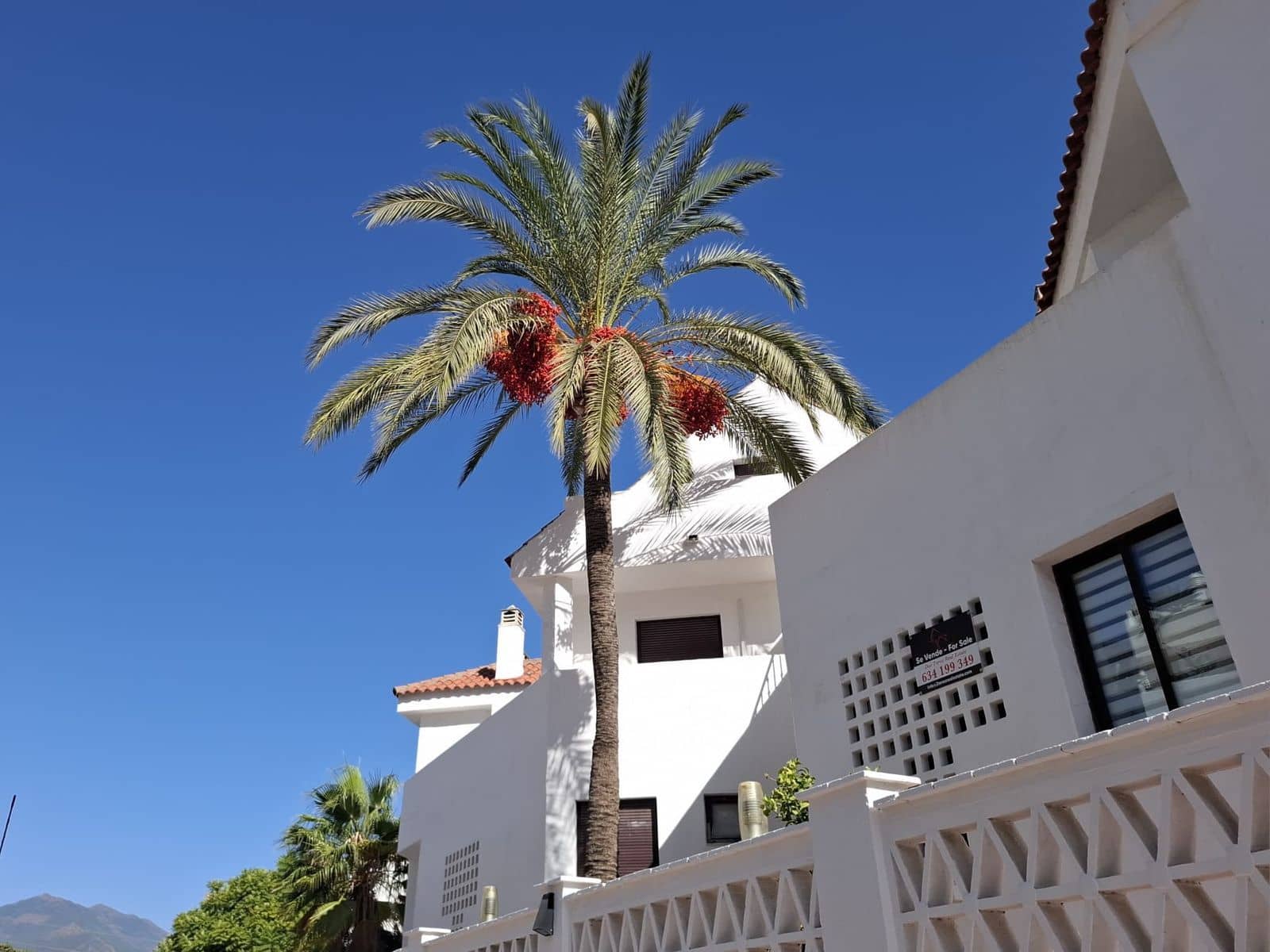 3 slaapkamer Appartement te koop in Nueva Andalucia - € 655.000 (Ref: 9878304)
