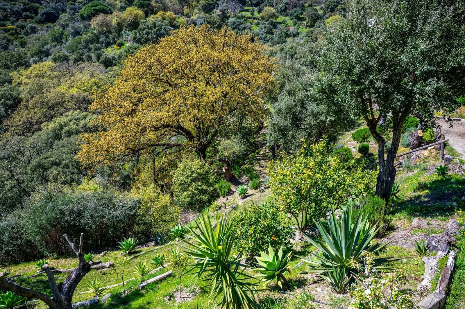Chalet de 4 habitaciones en Casares en venta - 1.250.000 € (Ref: 9878343)