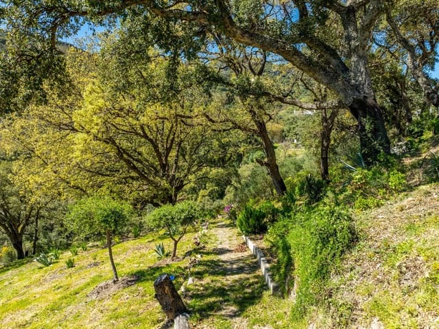 4 sypialnia Willa na sprzedaż w Casares - 1 250 000 € (Ref: 9878343)