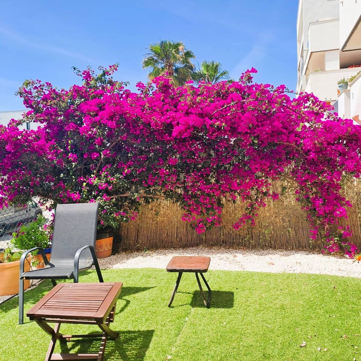 2 sypialnia Apartament na sprzedaż w Bahia de Casares - 335 000 € (Ref: 9878357)