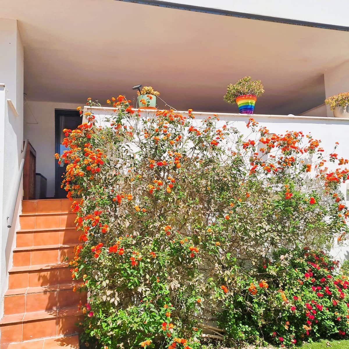 2 sypialnia Apartament na sprzedaż w Bahia de Casares - 335 000 € (Ref: 9878357)