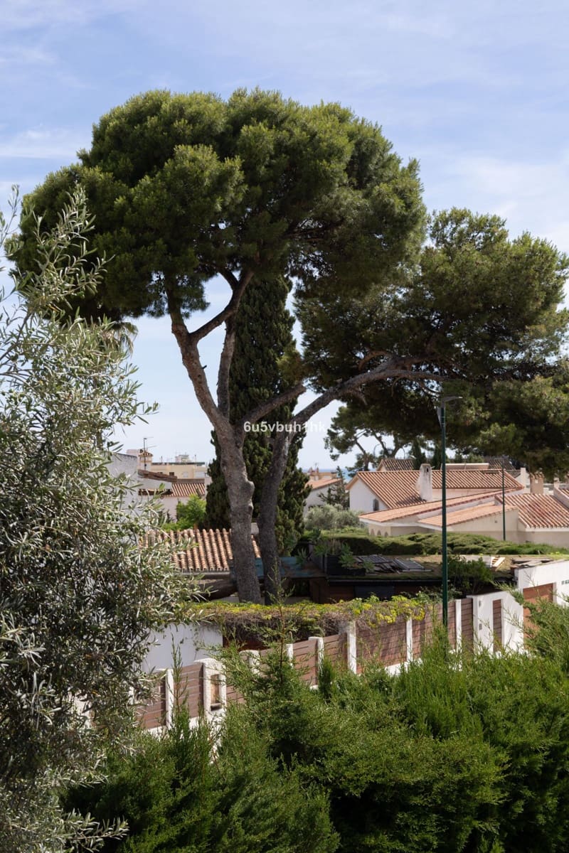 6 sypialnia Dom na sprzedaż w Miasto Malaga - 1 395 000 € (Ref: 9894577)