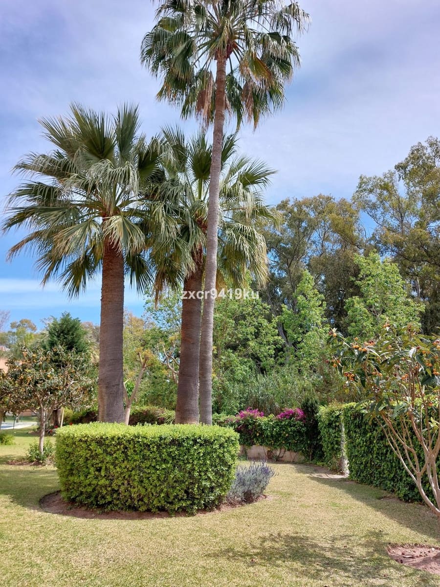 3 camera da letto Appartamento in vendita in Carib Playa - 480.000 € (Rif: 9910548)