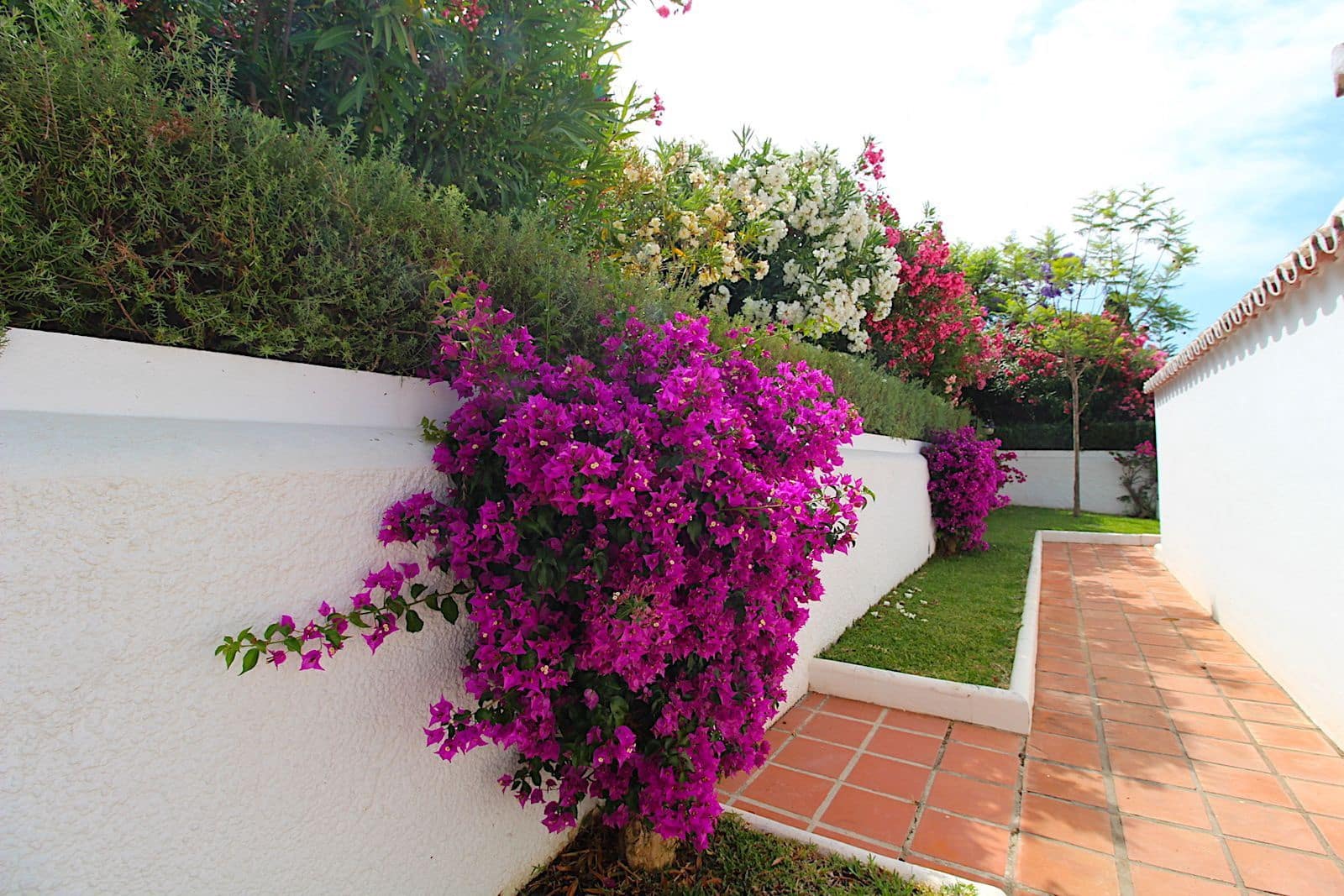 4 quarto Moradia Geminada para venda em Aloha Golf - 895 000 € (Ref: 9921318)