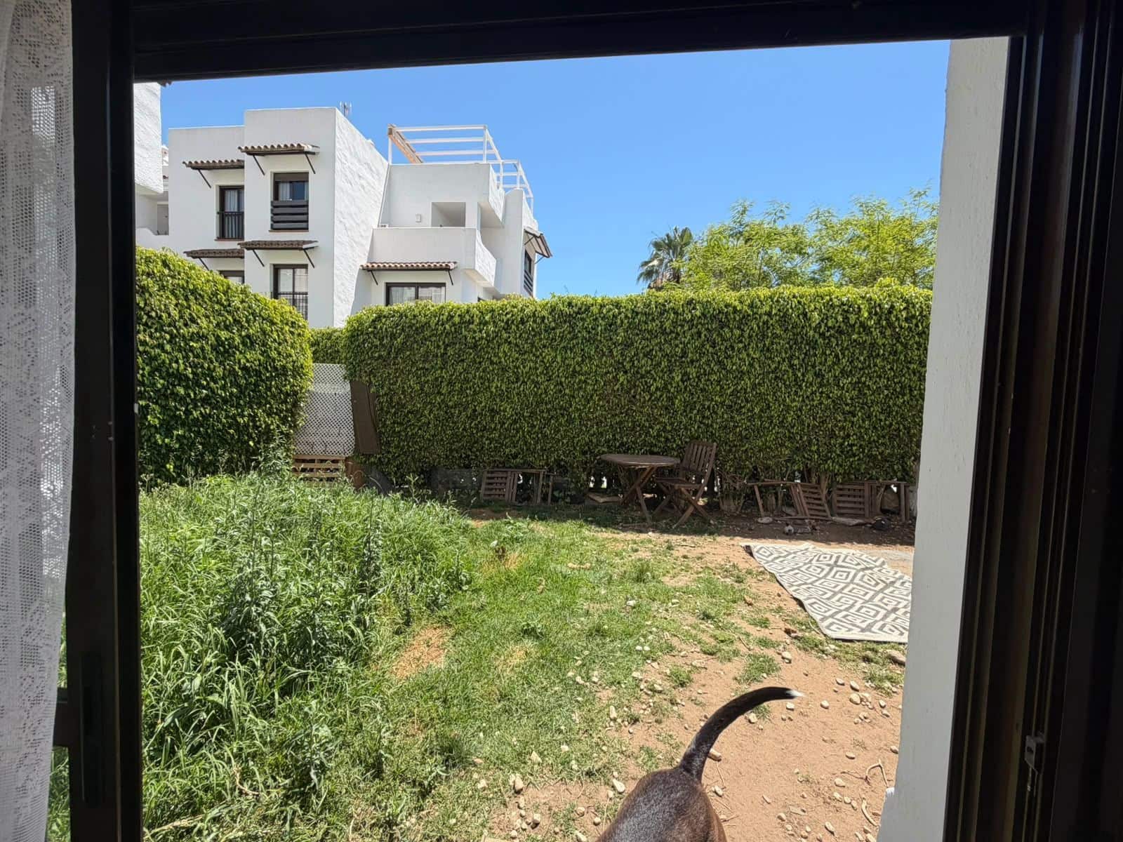 1 chambre Appartement à vendre à New Golden Mile - 297 000 € (Ref: 9933791)