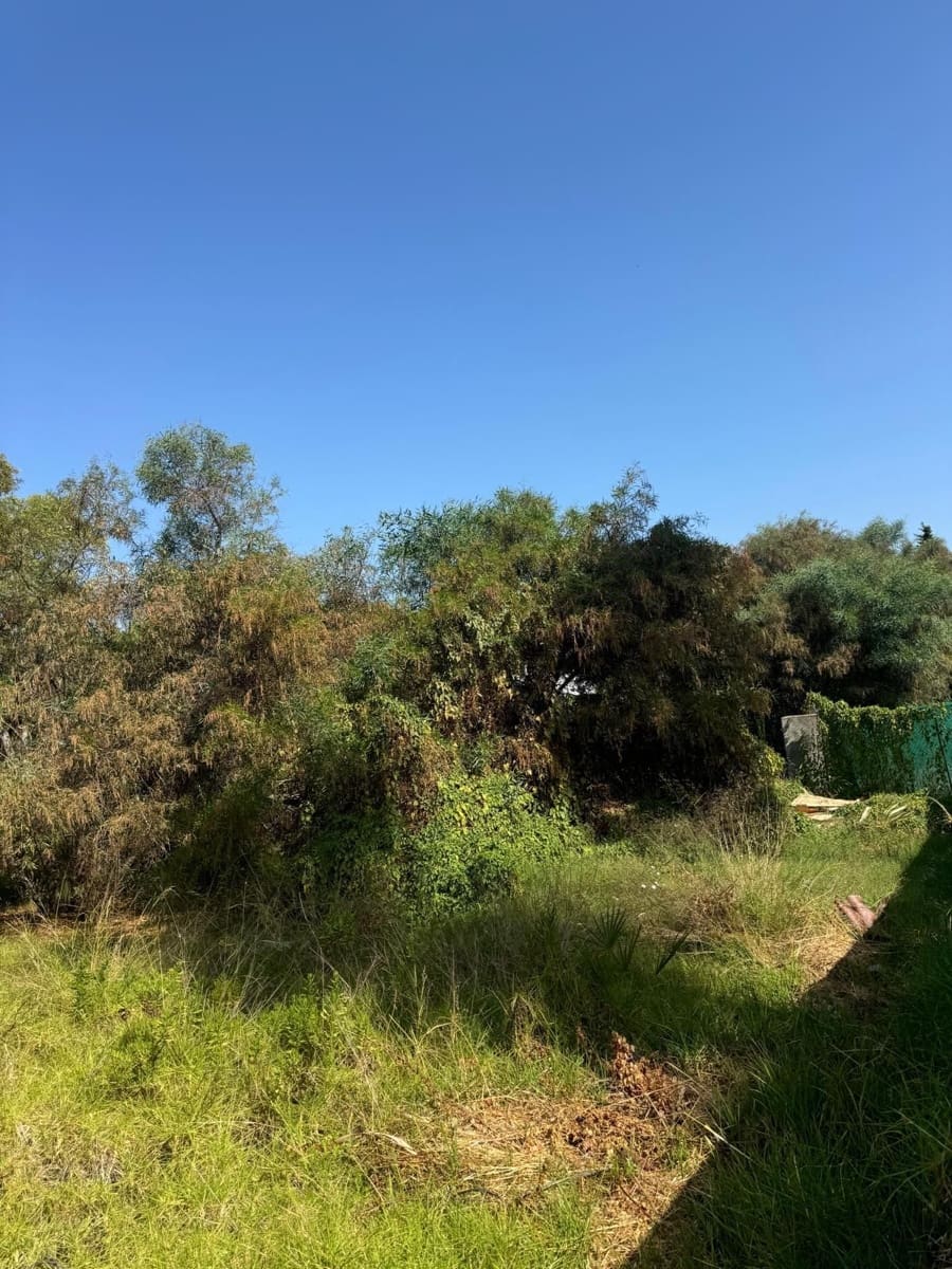Terrain à Bâtir à vendre à Atalaya-Isdabe - 1 250 000 € (Ref: 9933834)