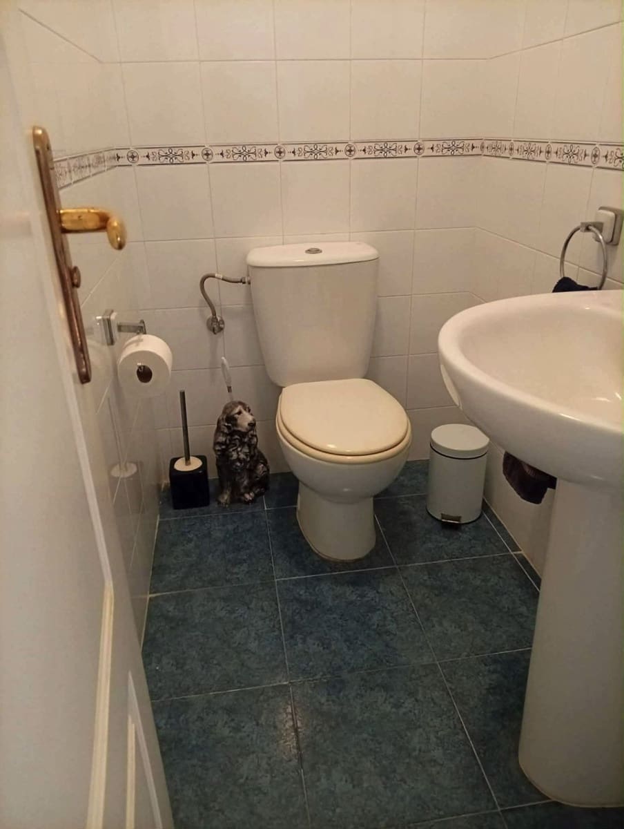 3 bedroom Semi-detached Villa for sale in La Duquesa / Puerto de la Duquesa - € 371,000 (Ref: 9933841)