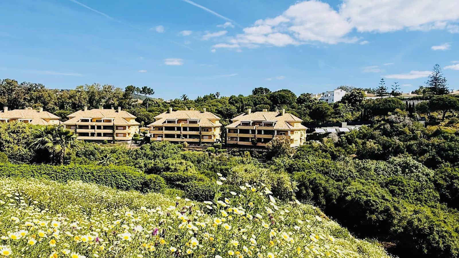 Building Plot for sale in Sotogrande - € 634,000 (Ref: 9937693)