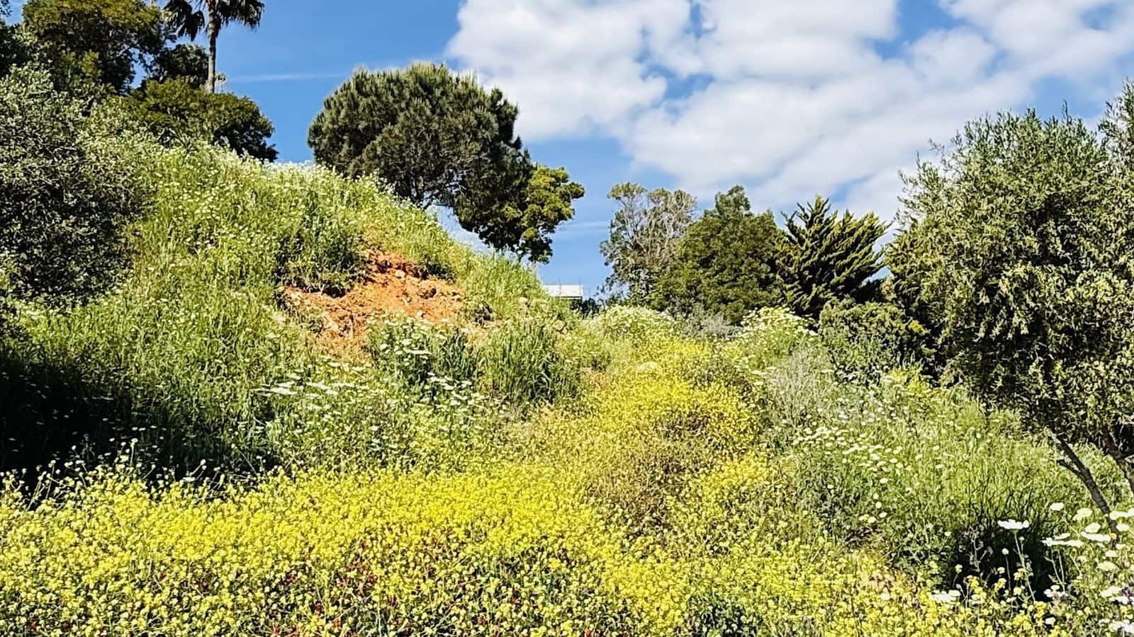 Building Plot for sale in Sotogrande - € 634,000 (Ref: 9937693)