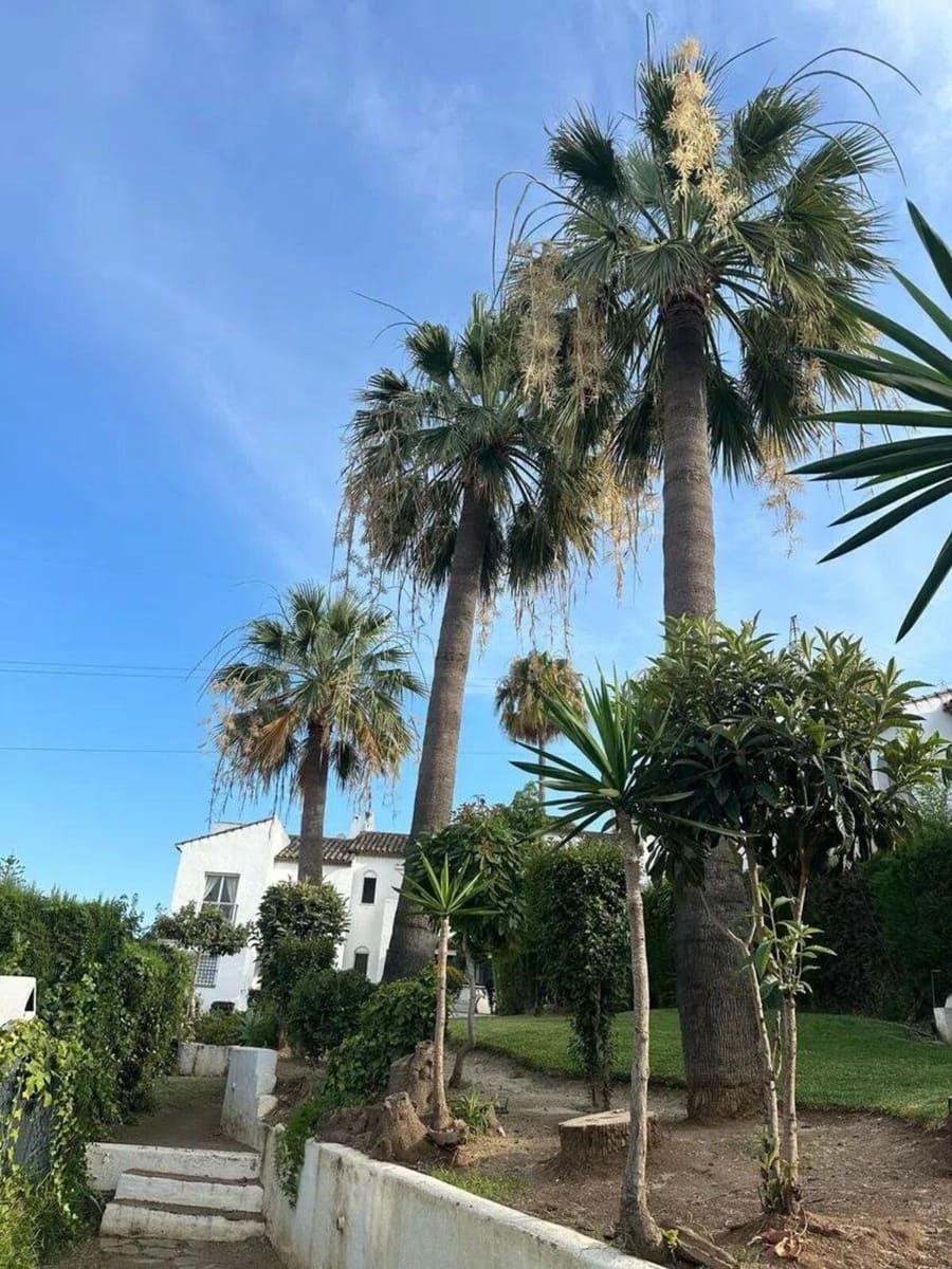 3 quarto Casa em Banda para venda em Bel-Air - 419 000 € (Ref: 9952093)