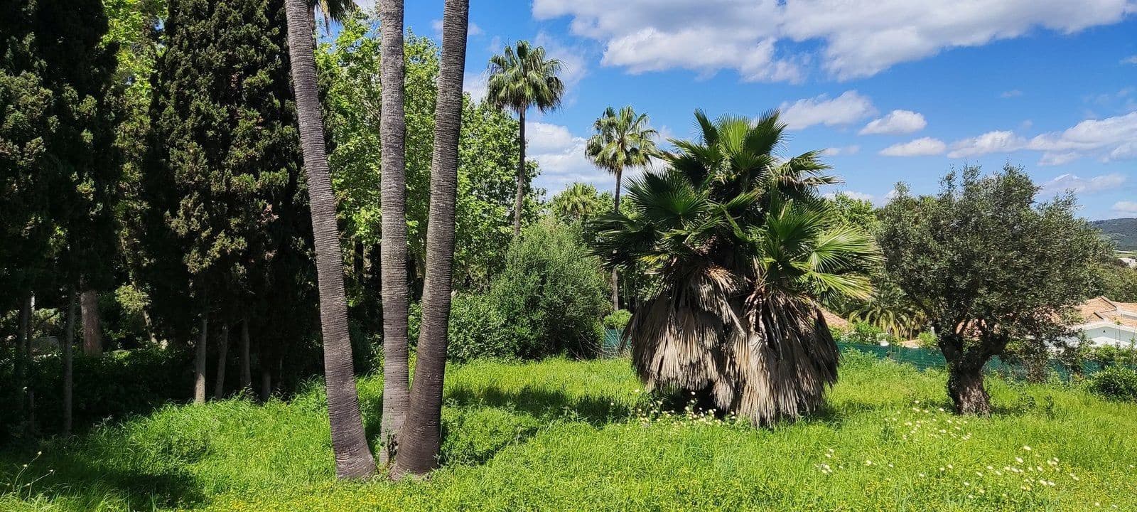 Terreno Non Edificato in vendita in Sotogrande - 2.100.000 € (Rif: 9952195)