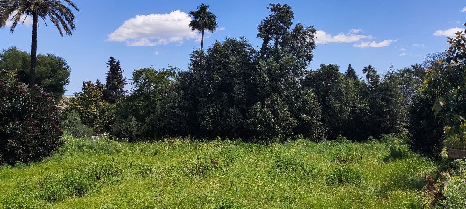Terreno Non Edificato in vendita in Sotogrande - 2.100.000 € (Rif: 9952195)