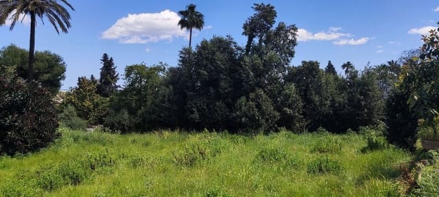 Terreno/Finca Rústica en Sotogrande Costa, San Roque en venta - 2.100.000 € (Ref: 9952195)