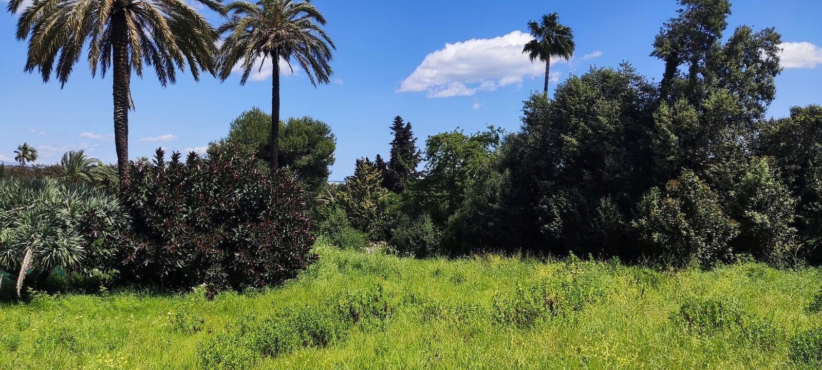 Terreno Non Edificato in vendita in Sotogrande - 2.100.000 € (Rif: 9952195)