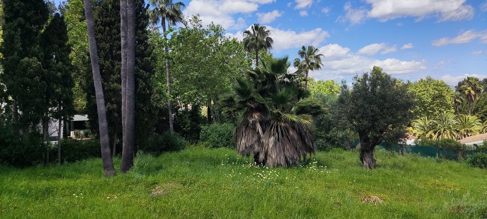 Terreno Non Edificato in vendita in Sotogrande - 2.100.000 € (Rif: 9952195)