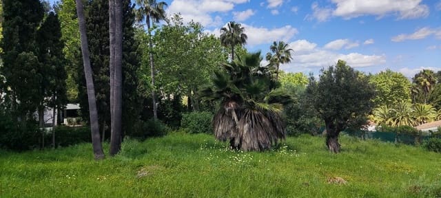 Terreno/Finca Rústica en Sotogrande Costa, San Roque en venta - 2.100.000 € (Ref: 9952195)
