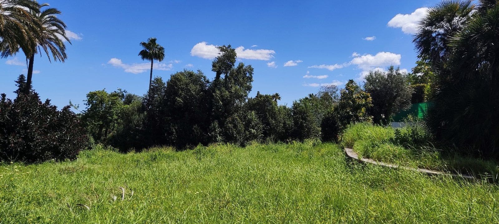 Terreno Non Edificato in vendita in Sotogrande - 2.100.000 € (Rif: 9952195)