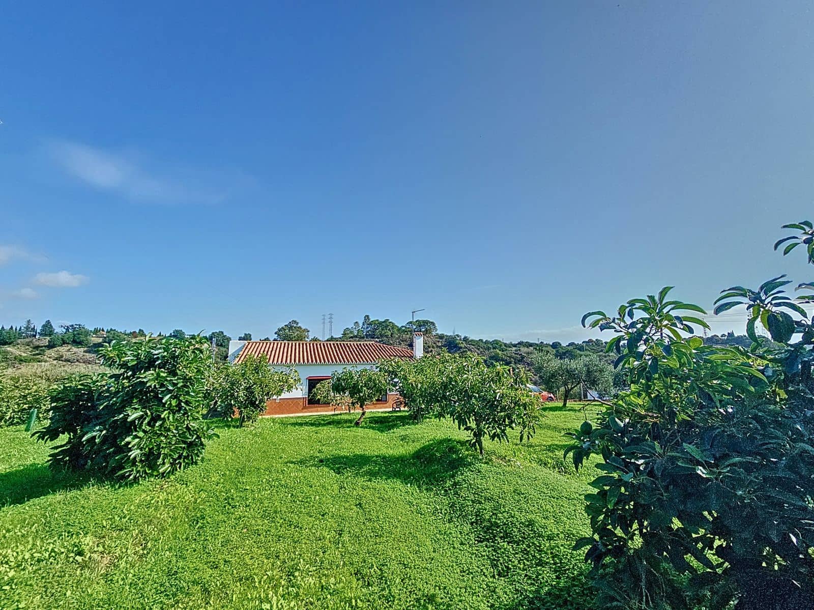 3 slaapkamer Finca/Landhuis te koop in El Padron - € 490.000 (Ref: 9967528)