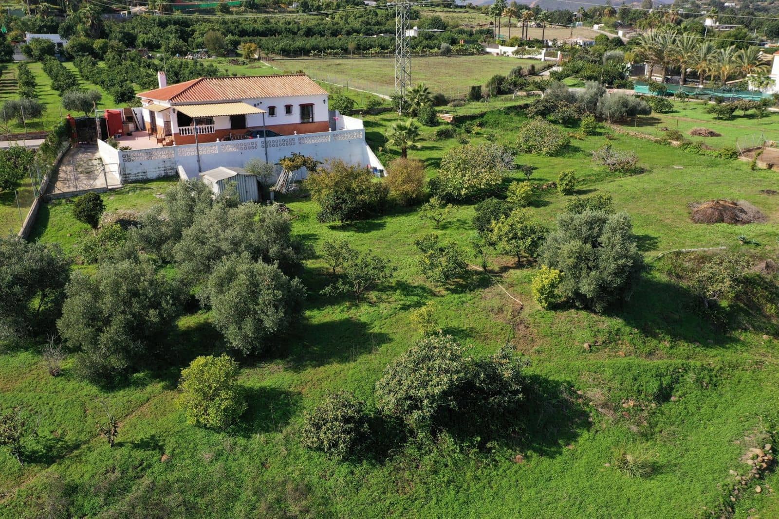 3 slaapkamer Finca/Landhuis te koop in El Padron - € 490.000 (Ref: 9967528)