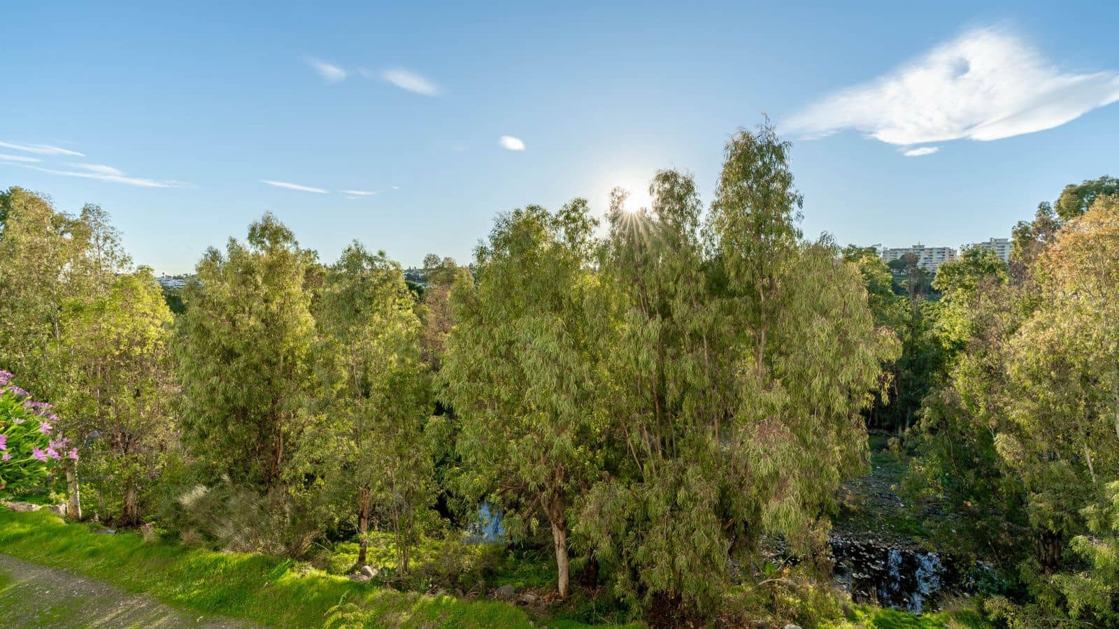 2 soveværelse Lejlighed til salg i Guadalmina - € 695.000 (Ref: 9998290)