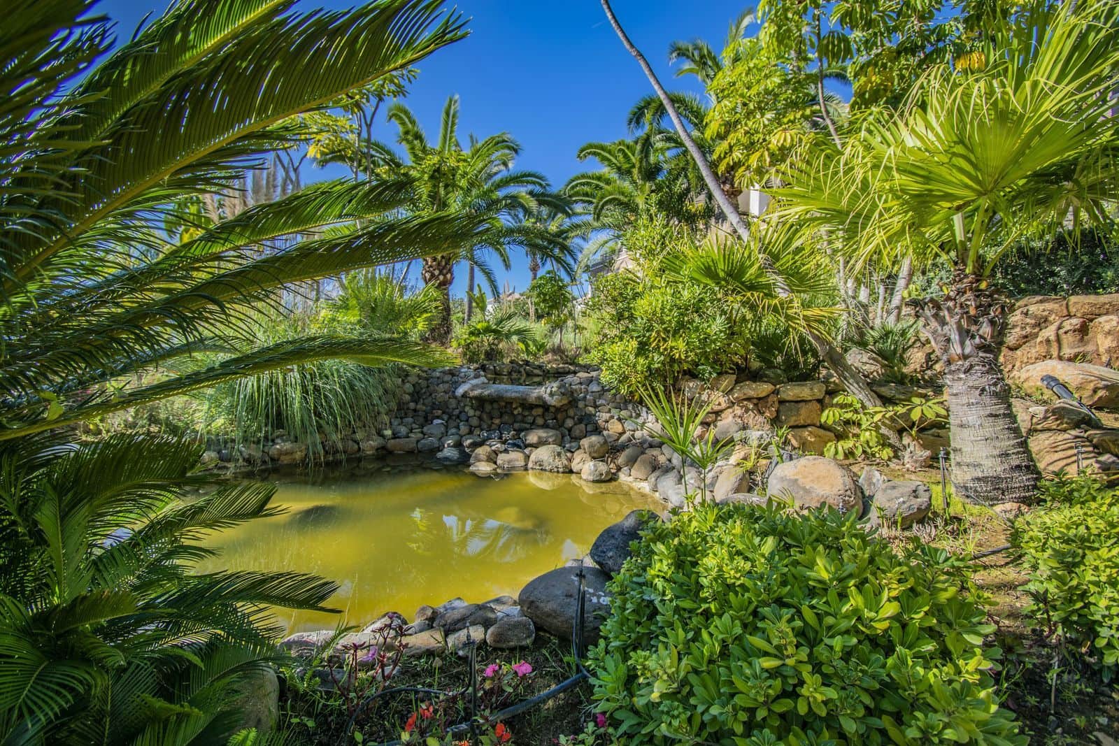 Apartamento de 2 habitaciones en Los Monteros en venta - 2.250.000 € (Ref: 9998311)