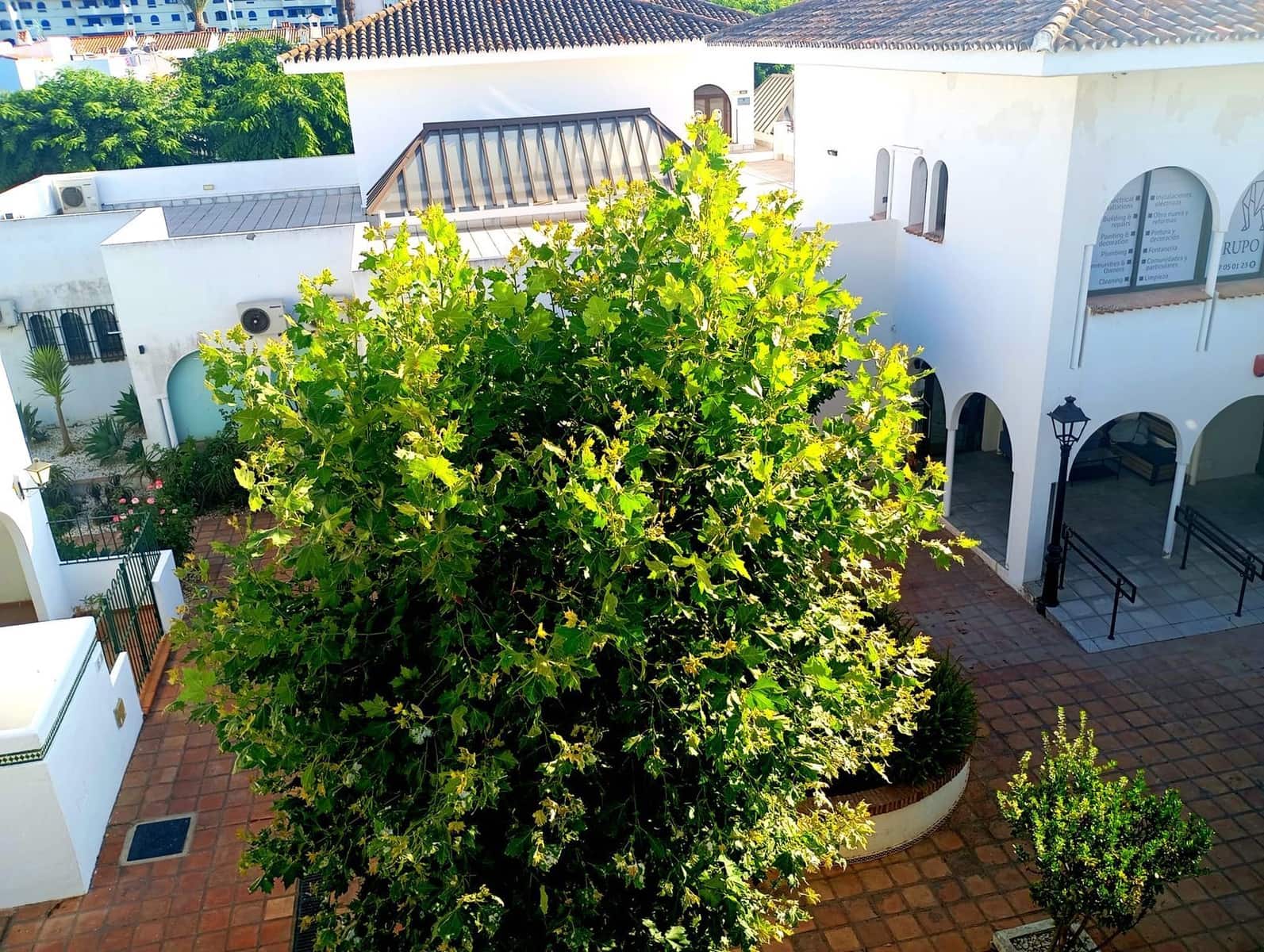 4 sovrum Semi-fristående Villa till salu i Bahia de Casares - 800 000 € (Ref: 9998359)