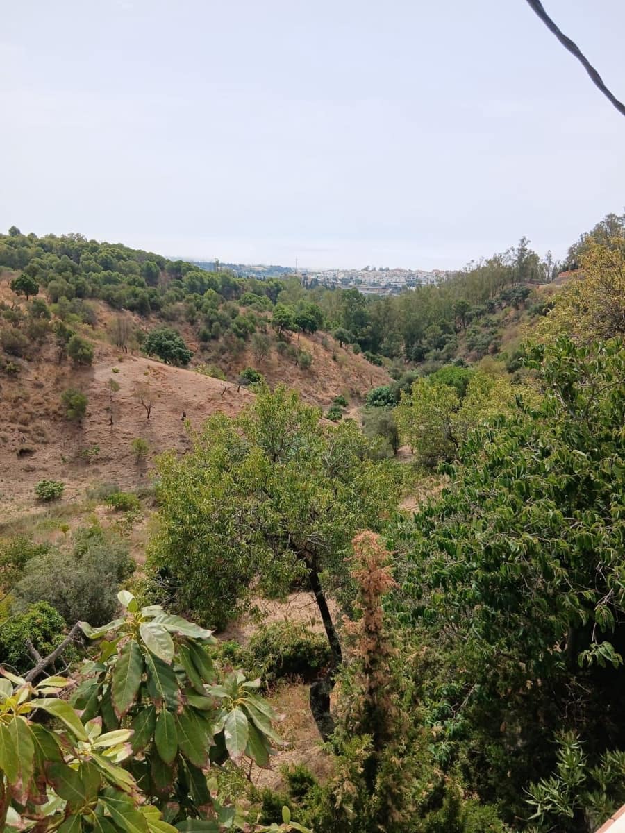 3 chambre Finca/Maison de Campagne à vendre à Estepona - 450 000 € (Ref: 9998380)