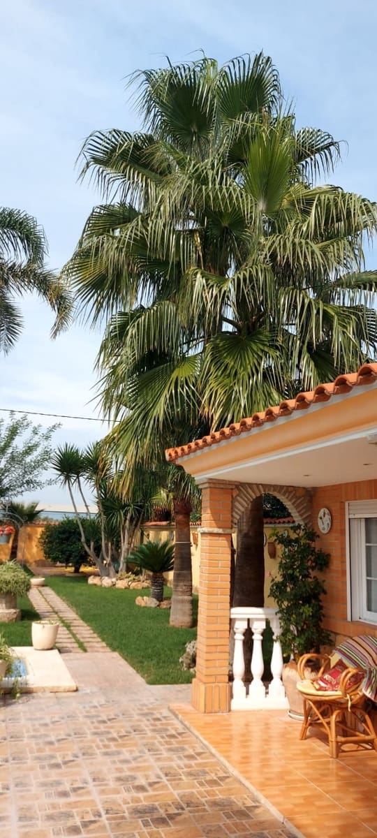 1 sovrum Finca/Hus på landet till salu i Benicarlo - 325 000 € (Ref: 8550507)