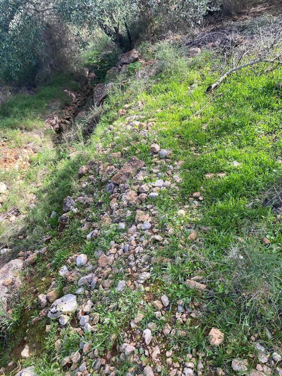 Quinta/Casa Rural para venda em Benicarlo - 45 000 € (Ref: 8699409)