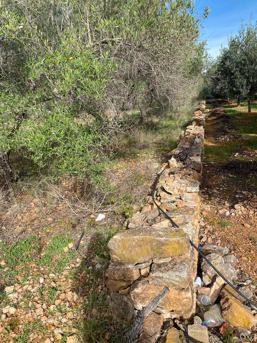 Quinta/Casa Rural para venda em Benicarlo - 45 000 € (Ref: 8699409)