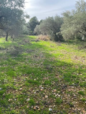 Finca/Country House for sale in Benicarló - € 45,000 (Ref: 8699409)