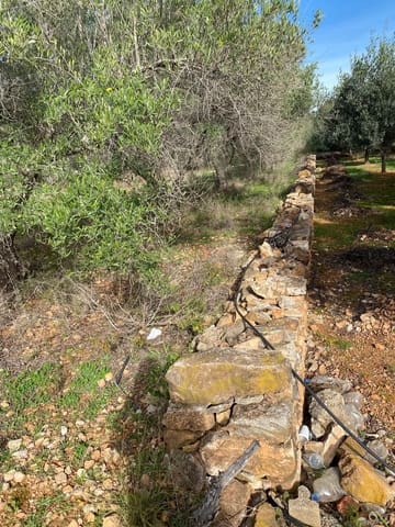 Finca/Country House for sale in Benicarló - € 45,000 (Ref: 8699409)