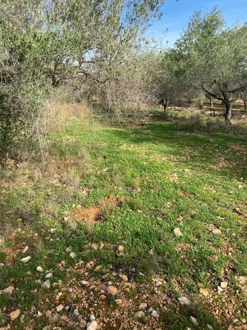 Finca/Country House for sale in Benicarló - € 45,000 (Ref: 8699409)