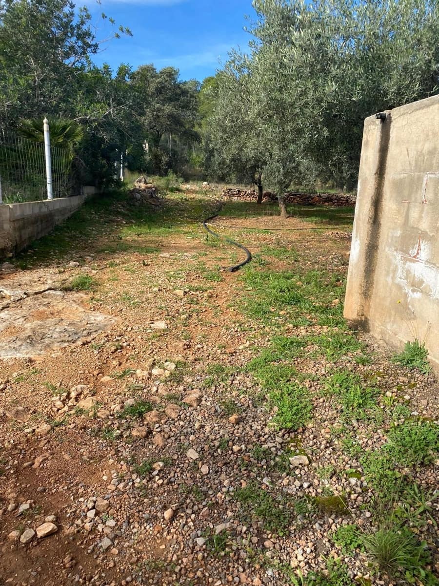 Quinta/Casa Rural para venda em Benicarlo - 45 000 € (Ref: 8699409)