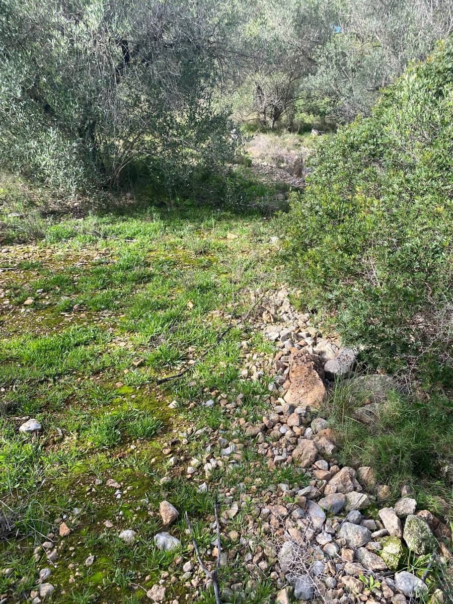 Quinta/Casa Rural para venda em Benicarlo - 45 000 € (Ref: 8699409)