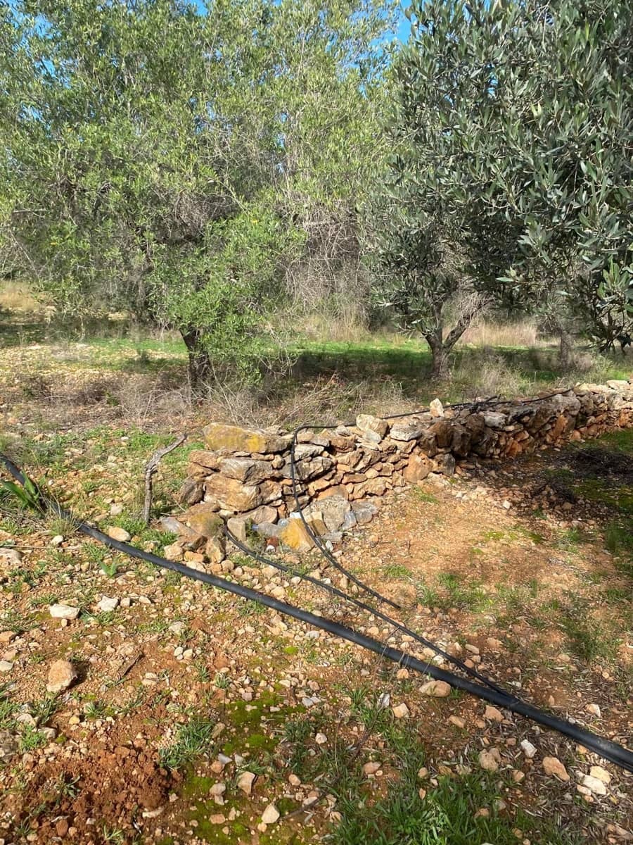 Quinta/Casa Rural para venda em Benicarlo - 45 000 € (Ref: 8699409)