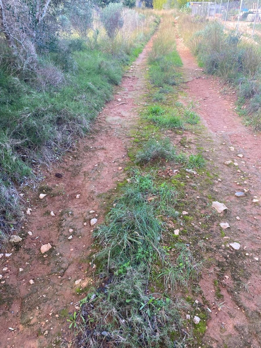 Quinta/Casa Rural para venda em Benicarlo - 45 000 € (Ref: 8699409)