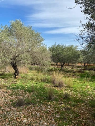 Finca/Country House for sale in Benicarló - € 45,000 (Ref: 8699409)