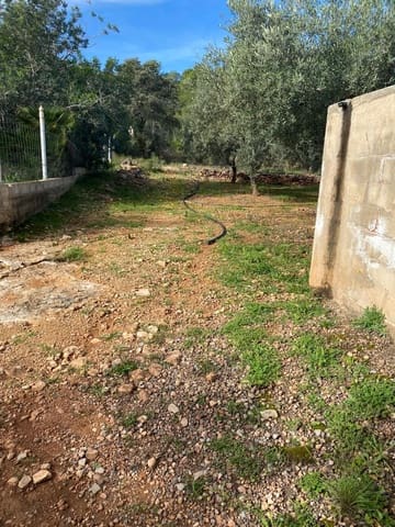 Finca/Country House for sale in Benicarló - € 45,000 (Ref: 8699409)