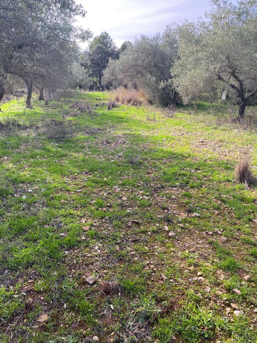 Quinta/Casa Rural para venda em Benicarlo - 45 000 € (Ref: 8699409)