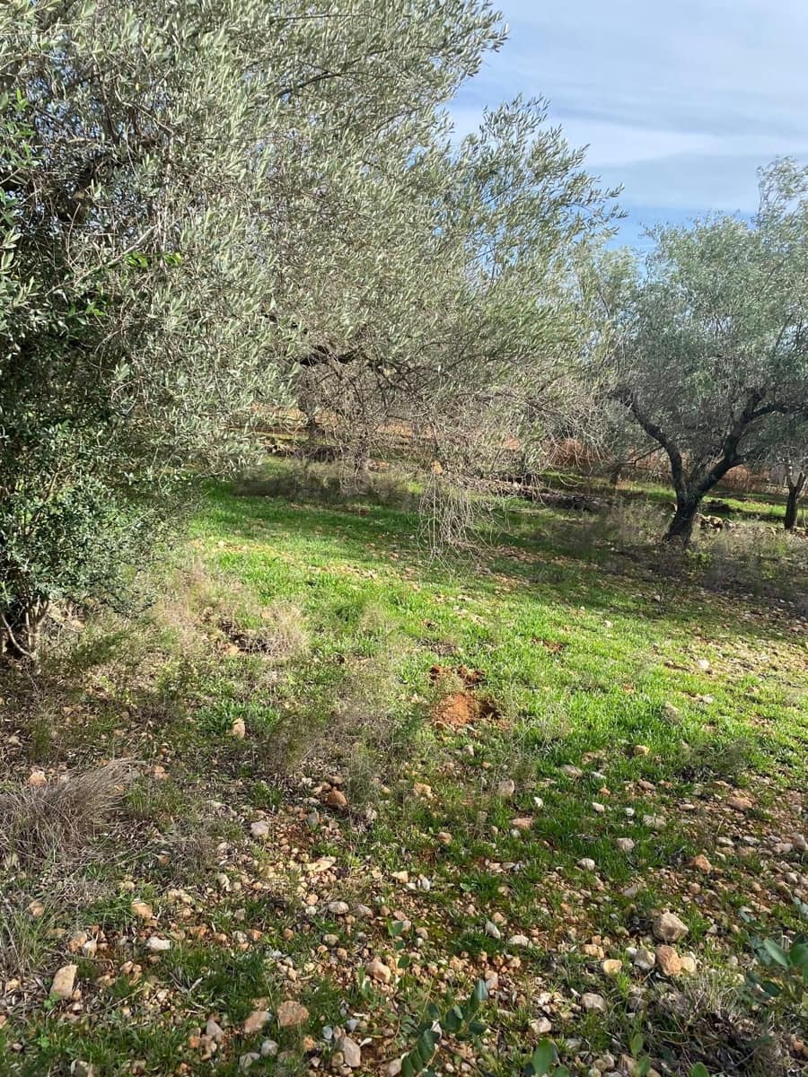 Quinta/Casa Rural para venda em Benicarlo - 45 000 € (Ref: 8699409)