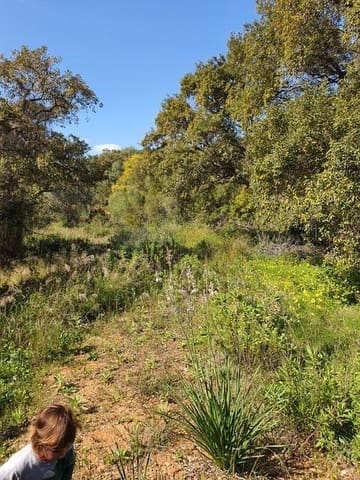 Terreno Non Edificato in vendita in Sotogrande Alto, San Roque - 1.000.000 € (Rif: 8777751)