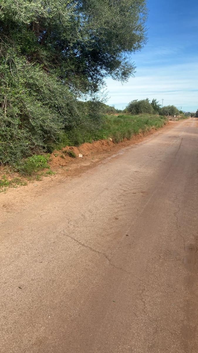 Quinta/Casa Rural para venda em Benicarlo - 29 000 € (Ref: 8917641)