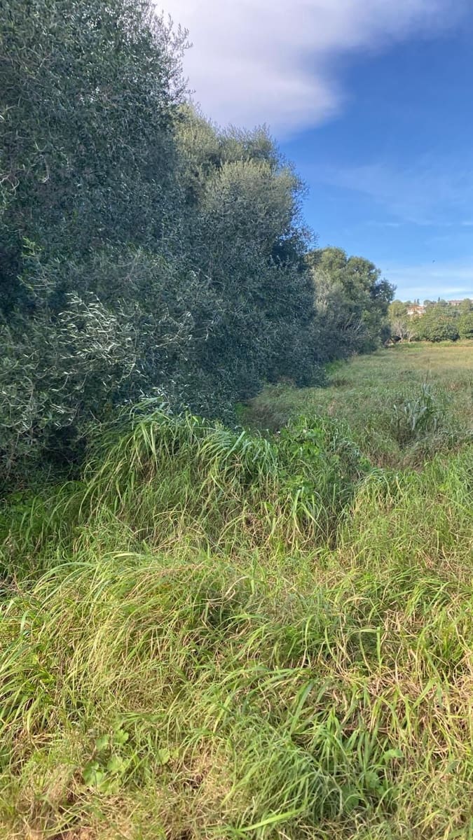 Quinta/Casa Rural para venda em Benicarlo - 29 000 € (Ref: 8917641)