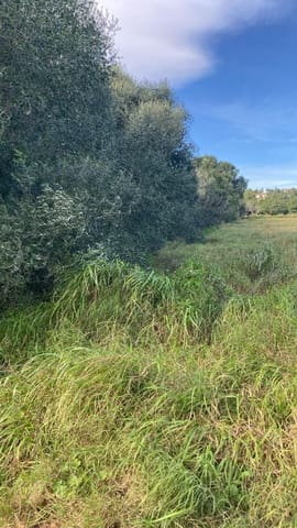 Finca/Country House for sale in Benicarló - € 29,000 (Ref: 8917641)