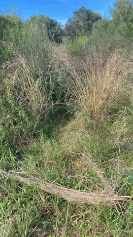 Finca/Country House for sale in Benicarló - € 29,000 (Ref: 8917641)